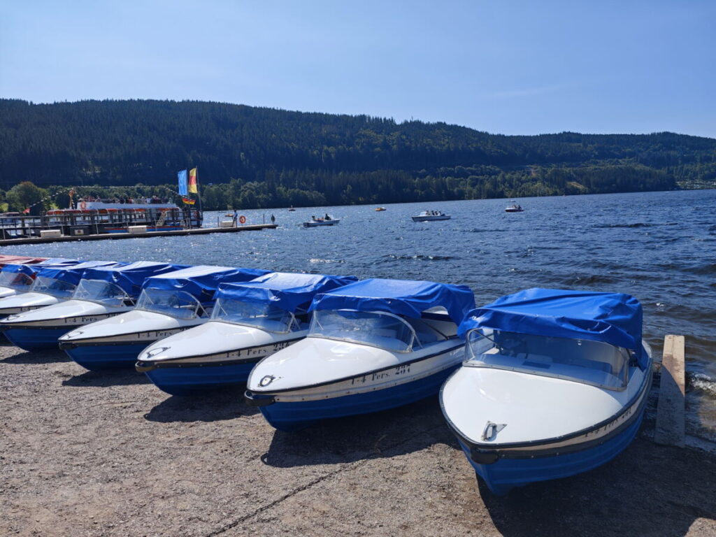 Titisee per Elektroboot oder Tretboot?